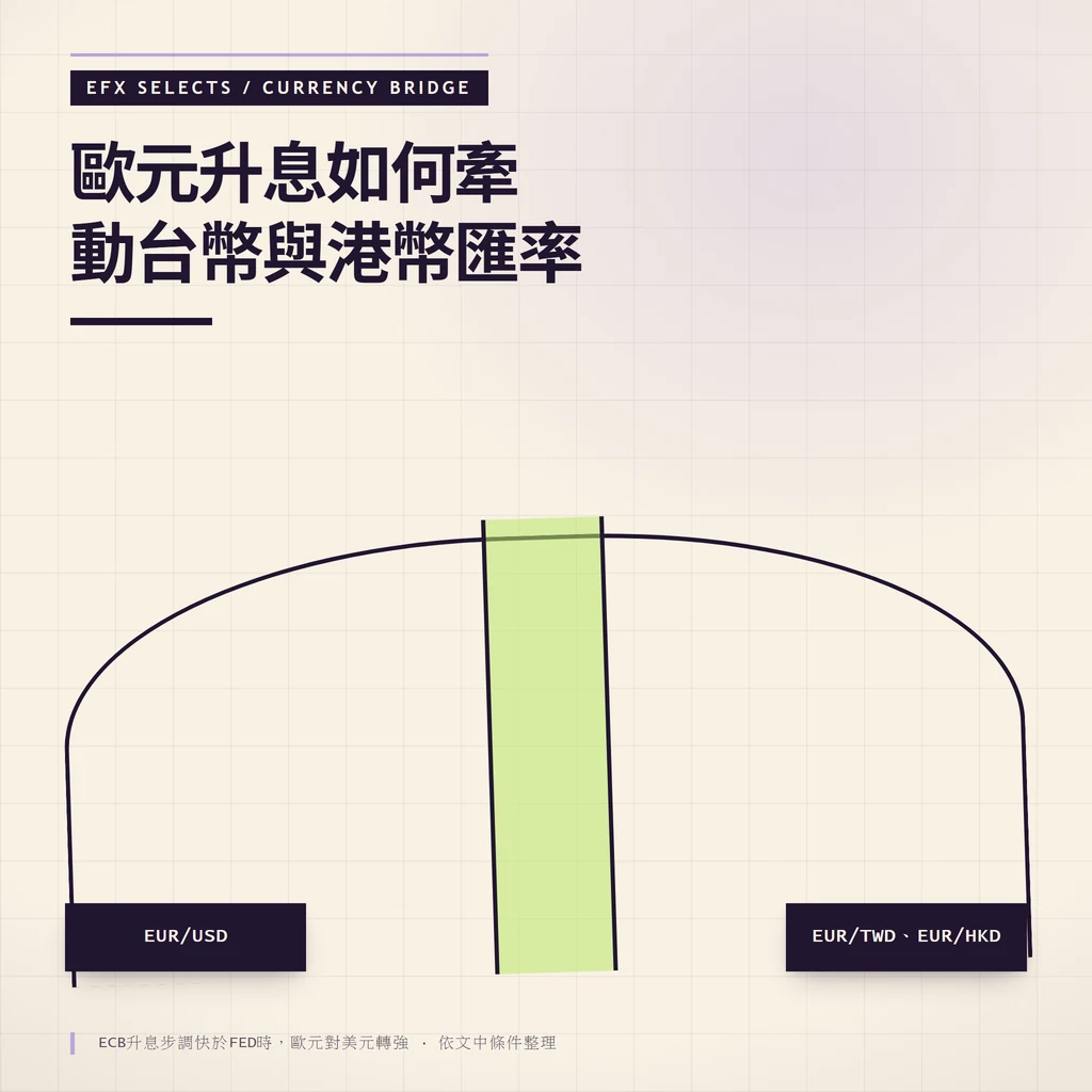 雙岸半圓拱橋結構,呈現歐元升息對台幣港幣匯率的傳導路徑
